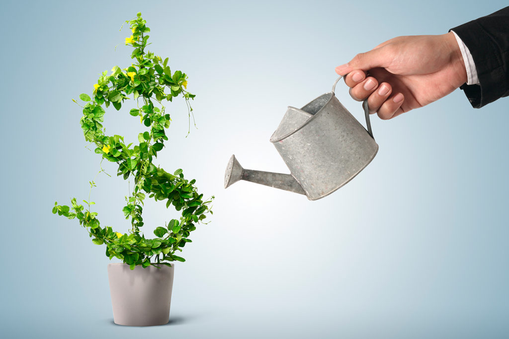 investimento-financeiro iniciante hinode